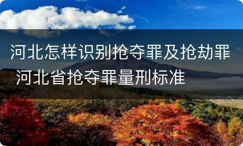 河北怎样识别抢夺罪及抢劫罪 河北省抢夺罪量刑标准