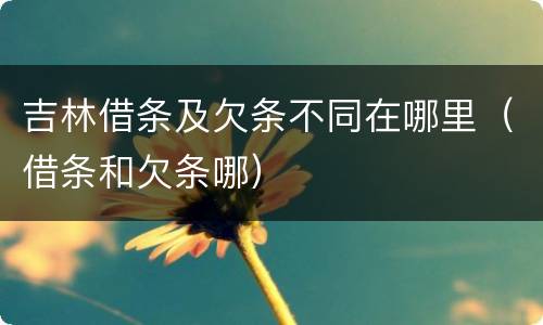 吉林借条及欠条不同在哪里（借条和欠条哪）