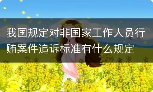 我国规定对非国家工作人员行贿案件追诉标准有什么规定