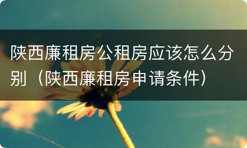 陕西廉租房公租房应该怎么分别（陕西廉租房申请条件）