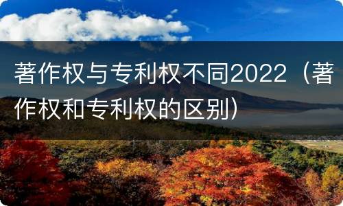 著作权与专利权不同2022（著作权和专利权的区别）