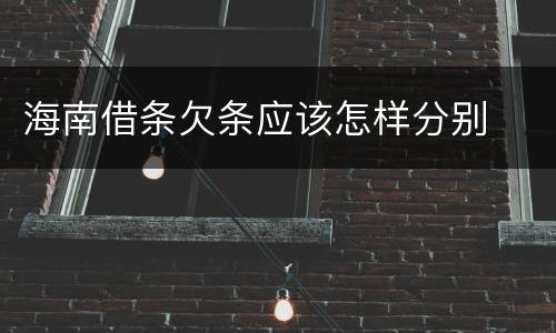 海南借条欠条应该怎样分别