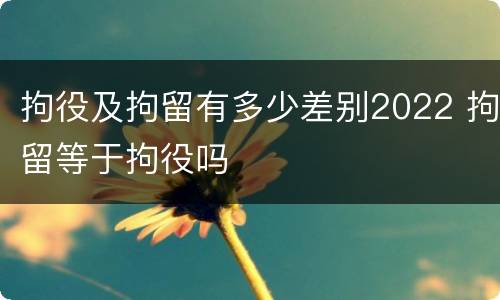 拘役及拘留有多少差别2022 拘留等于拘役吗