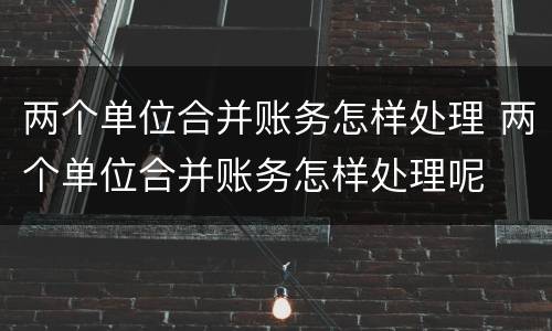 两个单位合并账务怎样处理 两个单位合并账务怎样处理呢
