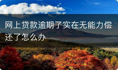 网上贷款逾期了实在无能力偿还了怎么办