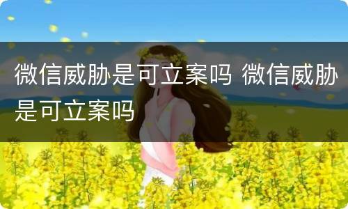 微信威胁是可立案吗 微信威胁是可立案吗