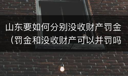 山东要如何分别没收财产罚金（罚金和没收财产可以并罚吗）