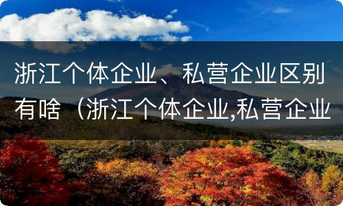 浙江个体企业、私营企业区别有啥（浙江个体企业,私营企业区别有啥特点）