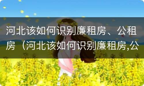 河北该如何识别廉租房、公租房（河北该如何识别廉租房,公租房的真假）