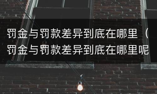 罚金与罚款差异到底在哪里（罚金与罚款差异到底在哪里呢）
