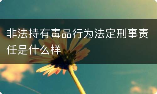 非法持有毒品行为法定刑事责任是什么样