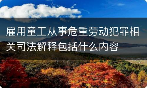 雇用童工从事危重劳动犯罪相关司法解释包括什么内容