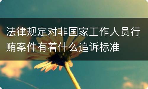 法律规定对非国家工作人员行贿案件有着什么追诉标准