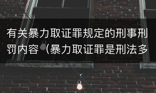 有关暴力取证罪规定的刑事刑罚内容（暴力取证罪是刑法多少条）