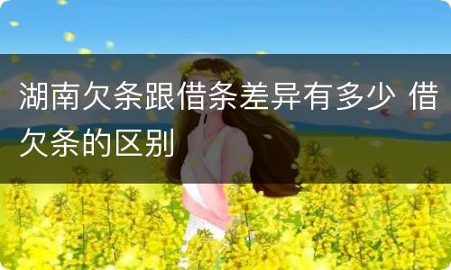 湖南欠条跟借条差异有多少 借欠条的区别
