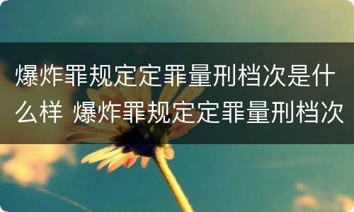 爆炸罪规定定罪量刑档次是什么样 爆炸罪规定定罪量刑档次是什么样的