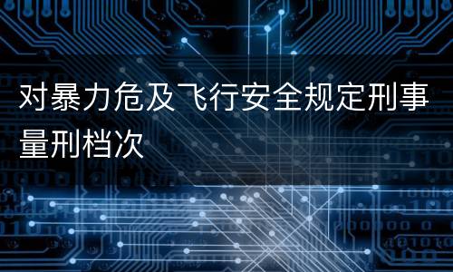 对暴力危及飞行安全规定刑事量刑档次