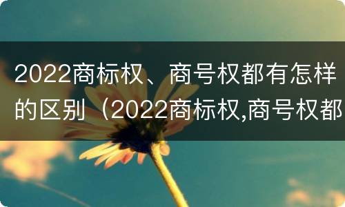 2022商标权、商号权都有怎样的区别（2022商标权,商号权都有怎样的区别呢）