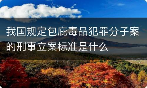 我国规定包庇毒品犯罪分子案的刑事立案标准是什么