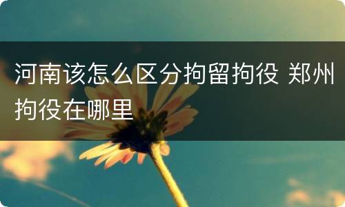 河南该怎么区分拘留拘役 郑州拘役在哪里
