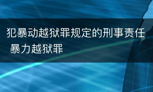 犯暴动越狱罪规定的刑事责任 暴力越狱罪