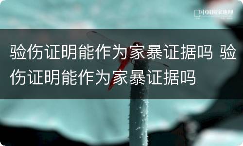 验伤证明能作为家暴证据吗 验伤证明能作为家暴证据吗