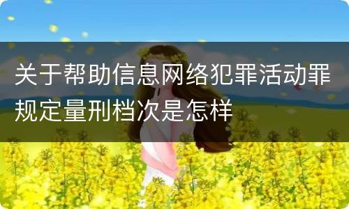 关于帮助信息网络犯罪活动罪规定量刑档次是怎样