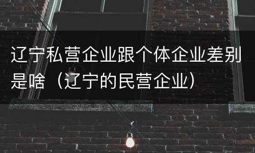 辽宁私营企业跟个体企业差别是啥（辽宁的民营企业）