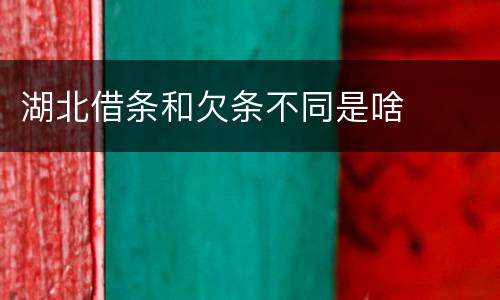湖北借条和欠条不同是啥
