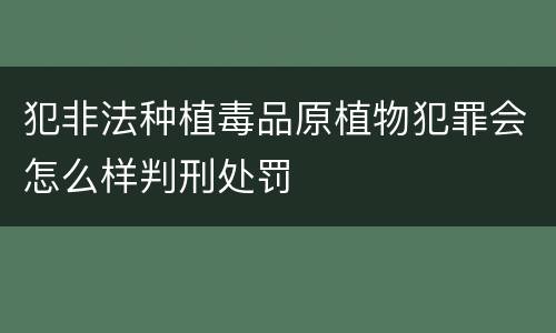 犯非法种植毒品原植物犯罪会怎么样判刑处罚