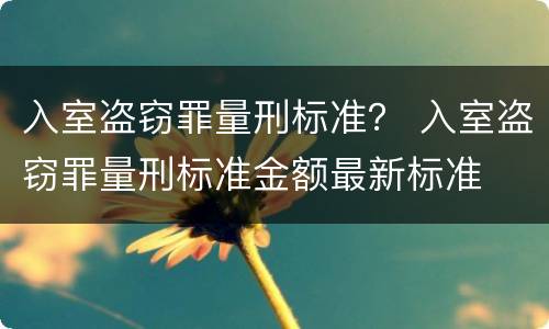 入室盗窃罪量刑标准？ 入室盗窃罪量刑标准金额最新标准