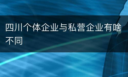 四川个体企业与私营企业有啥不同