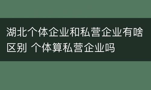 湖北个体企业和私营企业有啥区别 个体算私营企业吗