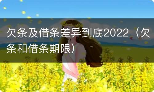 欠条及借条差异到底2022（欠条和借条期限）