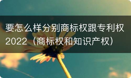 要怎么样分别商标权跟专利权2022（商标权和知识产权）