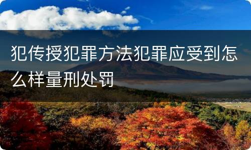 犯传授犯罪方法犯罪应受到怎么样量刑处罚