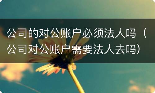 公司的对公账户必须法人吗（公司对公账户需要法人去吗）