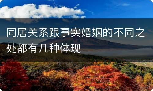 同居关系跟事实婚姻的不同之处都有几种体现