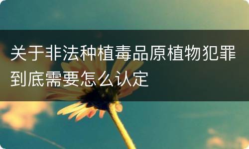 关于非法种植毒品原植物犯罪到底需要怎么认定