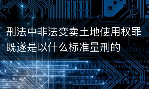 刑法中非法变卖土地使用权罪既遂是以什么标准量刑的