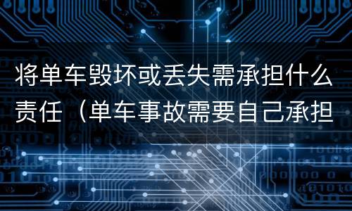 将单车毁坏或丢失需承担什么责任（单车事故需要自己承担损失吗）