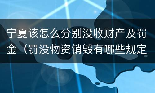 宁夏该怎么分别没收财产及罚金（罚没物资销毁有哪些规定）
