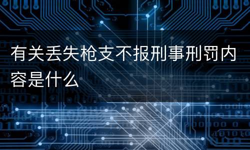 有关丢失枪支不报刑事刑罚内容是什么