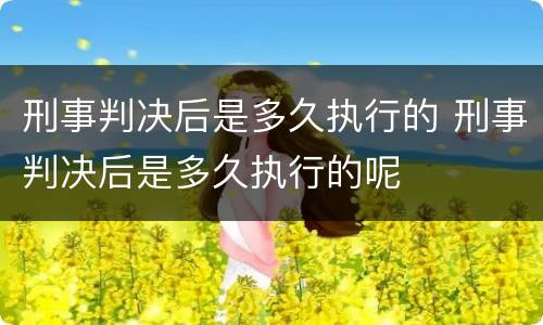 刑事判决后是多久执行的 刑事判决后是多久执行的呢