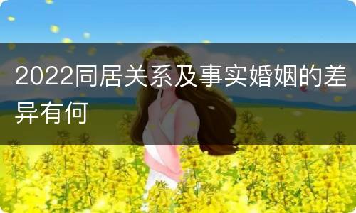 2022同居关系及事实婚姻的差异有何