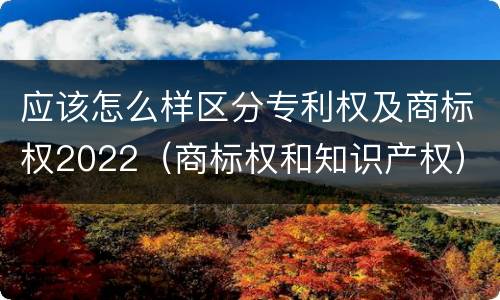 应该怎么样区分专利权及商标权2022（商标权和知识产权）