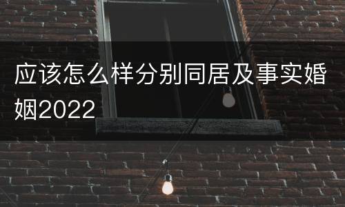 应该怎么样分别同居及事实婚姻2022