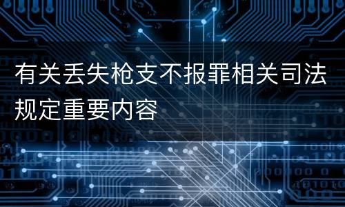 有关丢失枪支不报罪相关司法规定重要内容
