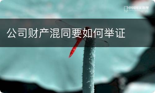 公司财产混同要如何举证