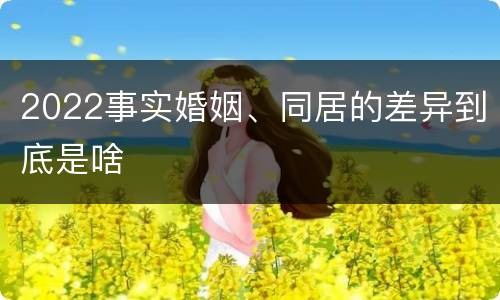 2022事实婚姻、同居的差异到底是啥
